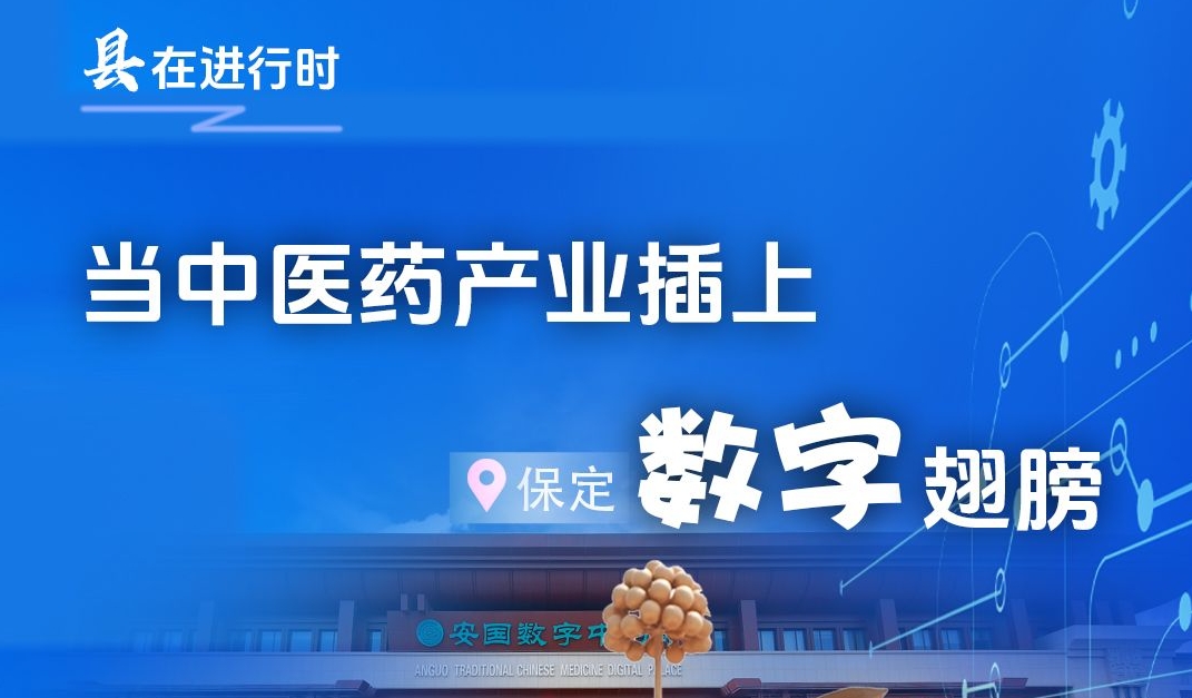 “县”在进行时⑧丨当中医药产业插上“数字”翅膀