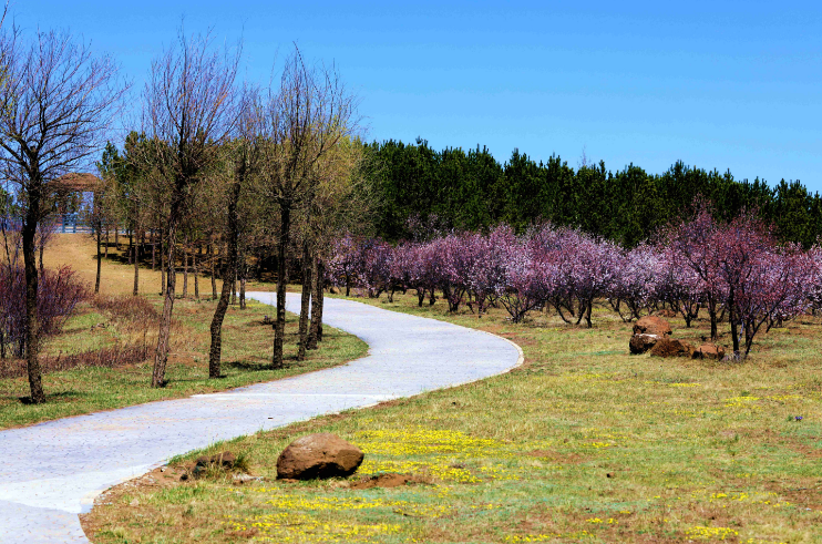 1774834716561237.png image.png