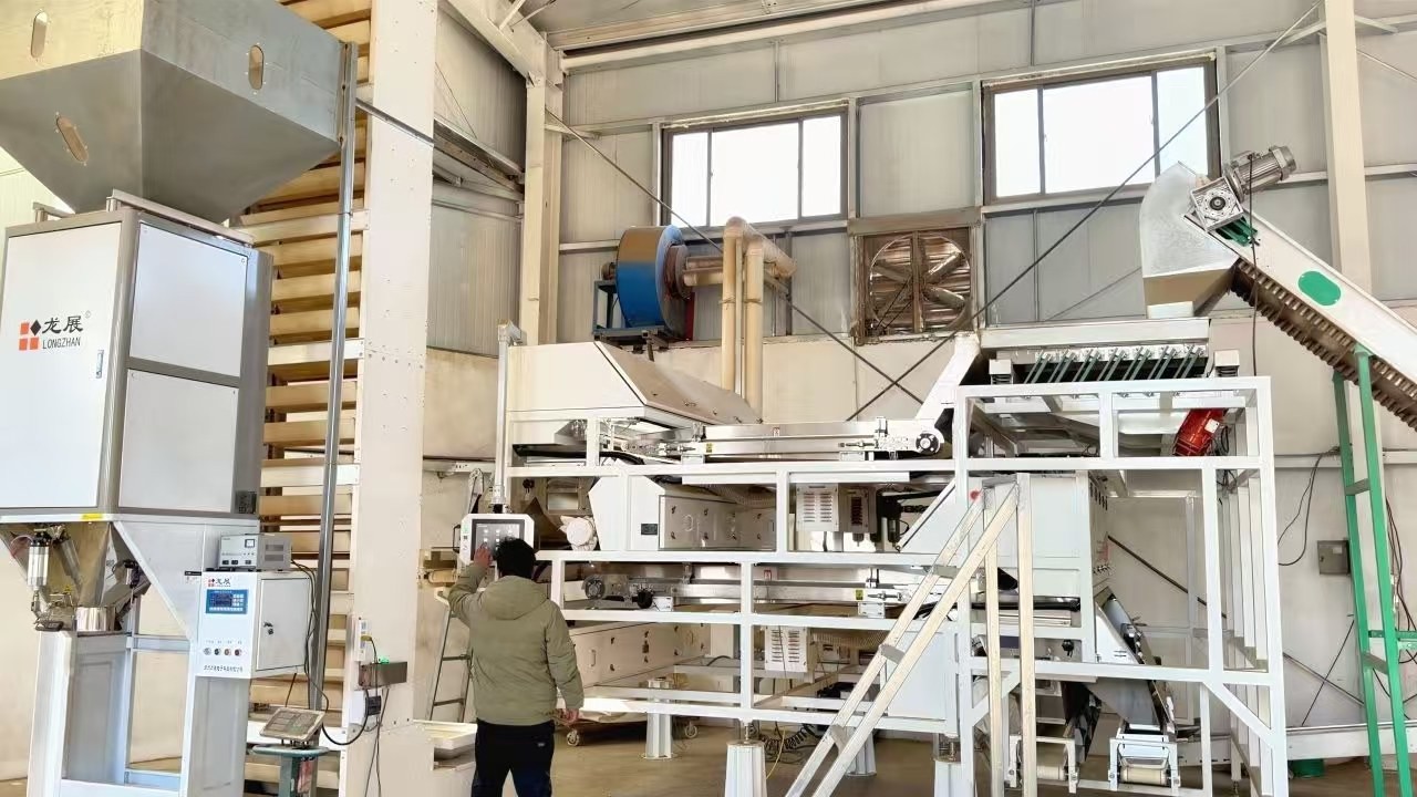 乡村行·看振兴 | 定州东留春乡：中药材产业绘就乡村振兴新图景