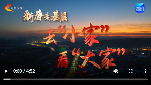 新春走基层｜去“小家”看“大家”，他们的年为何这样忙？