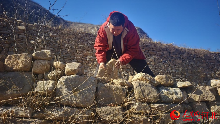 王虎林在修整梯田。人民网记者 杨文娟摄