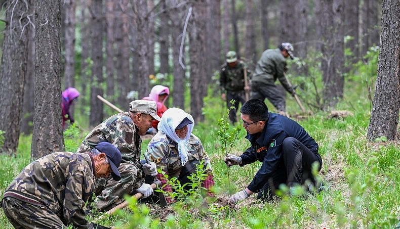 树立和践行正确政绩观｜筑牢生态屏障 造福一方百姓