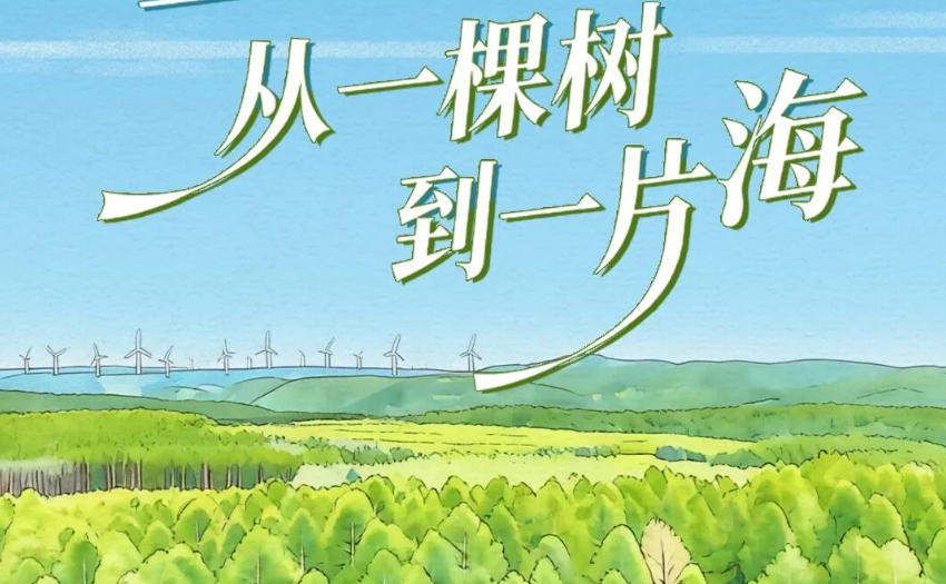 塞罕坝：从一棵树到一片海