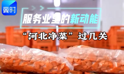 服务业里的新动能|②“河北净菜”过几关？
