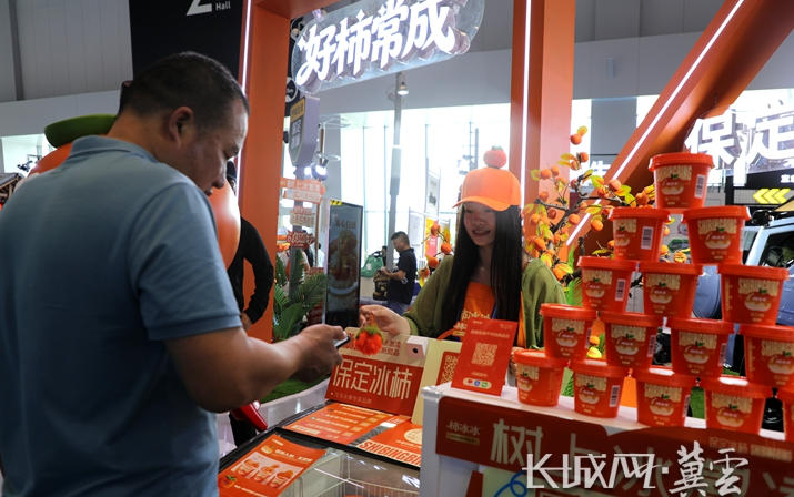 2026年廊坊经洽会•观察丨集群赋能优品兴冀——河北特色产业集群在廊坊经洽会的突围与跃升